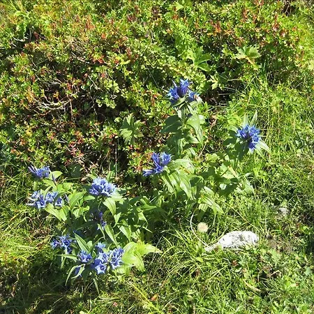 アパート Haus Brugger Richard *