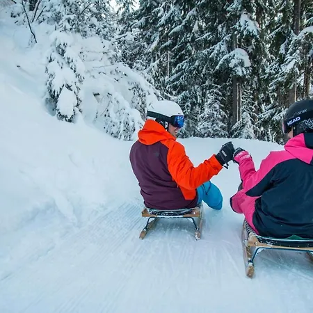 Haus Brugger Richard アパート